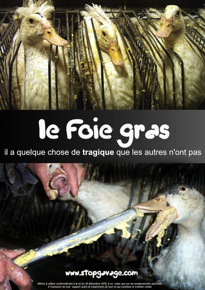 Le foie gras OUI ou NON ? Foie_g10