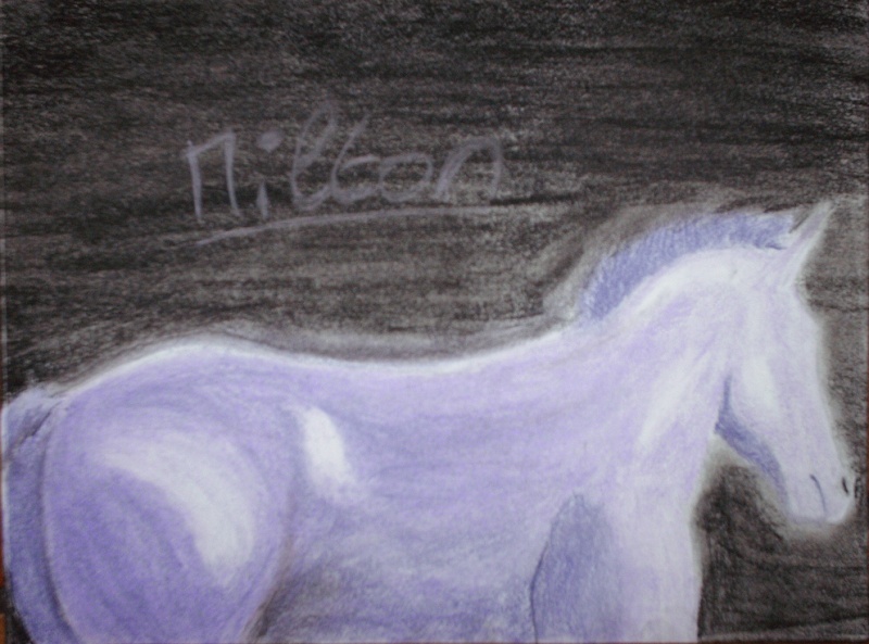 Cheval au pastel Milton10