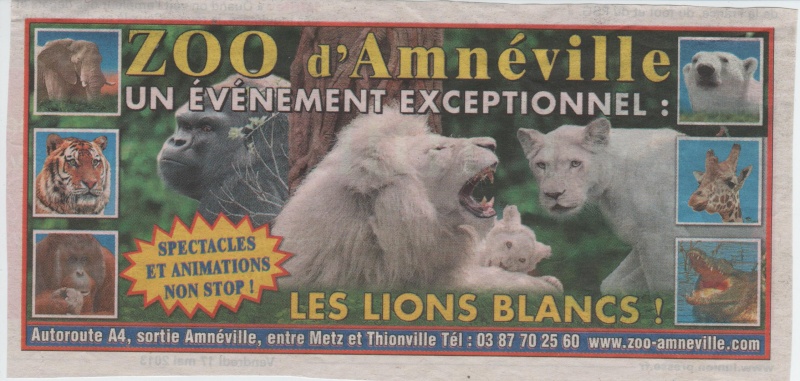 observer l'OURS - Page 3 Zoo_am10