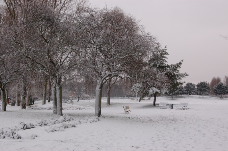 Quelles sont vos loisirs pendant la saison hivernale? Dsc_0311