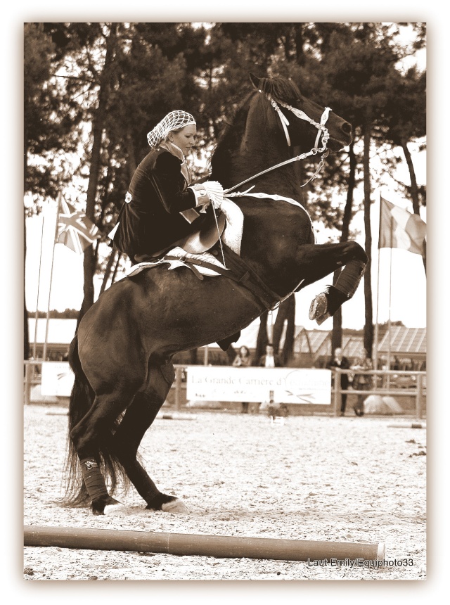 Equitaine 2013, journée amazone... Foire_12