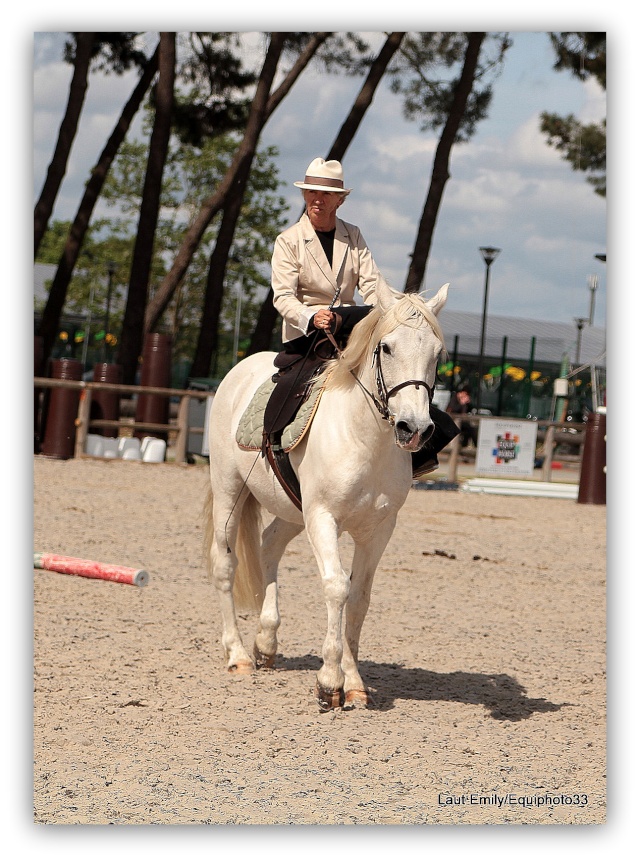 Equitaine 2013, journée amazone... Foire_19