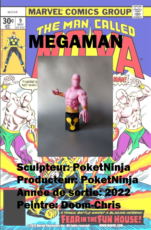 Megaman - buste - PoketNinja Megama10