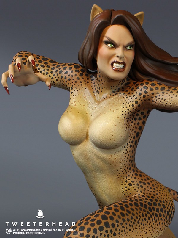 SUPER POWERS : CHEETAH Maquette Tweete24