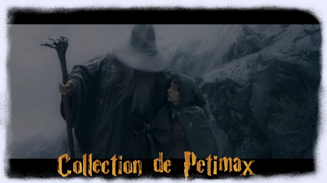 Collection n°305 : Petimax >>> MAJ 10/06/11 Collec11