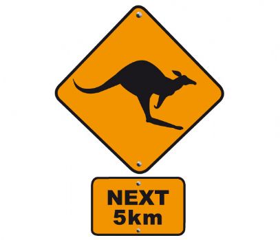 kangourou sur l'auto-route Austra10
