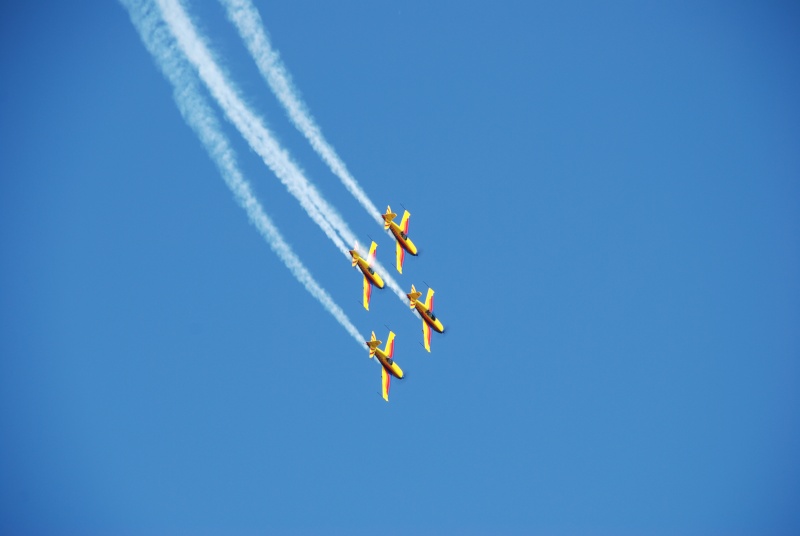 Miting aviatic Satu-Mare - 19 octombrie 2008 Dsc_1917