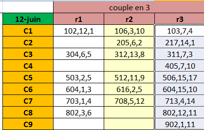 couple  gagnant en 3 2013-078