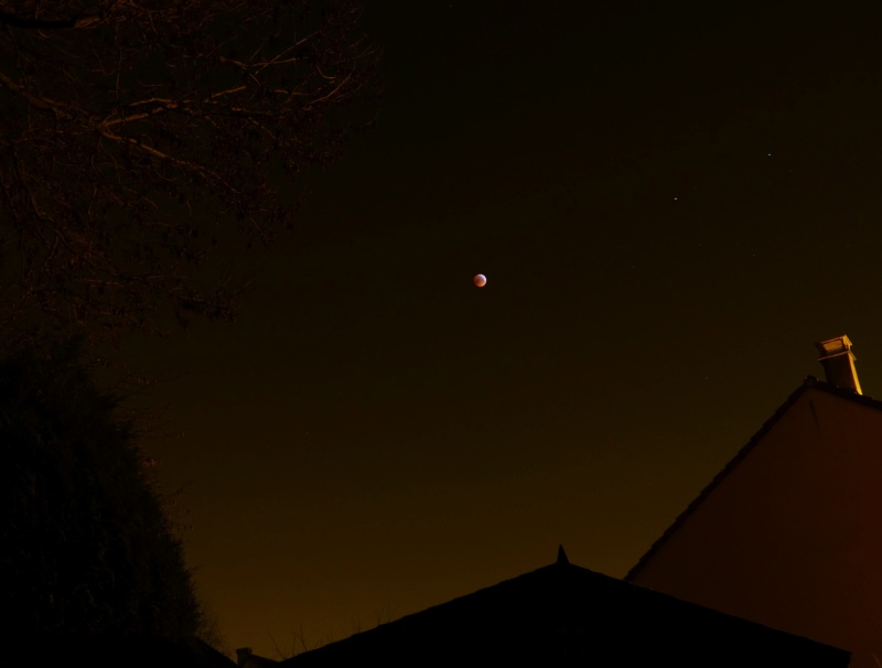 Eclipse totale de Lune - 21 janvier 2019 P1460712