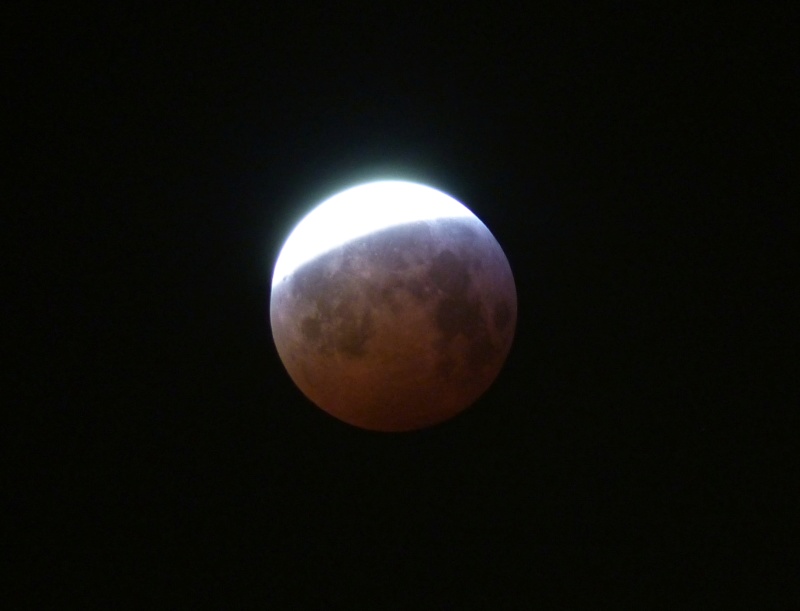 Eclipse totale de Lune - 21 janvier 2019 P1460713