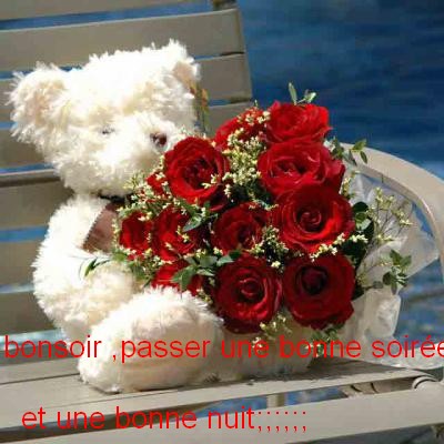 bonsoir mes  amies Bonsoi11