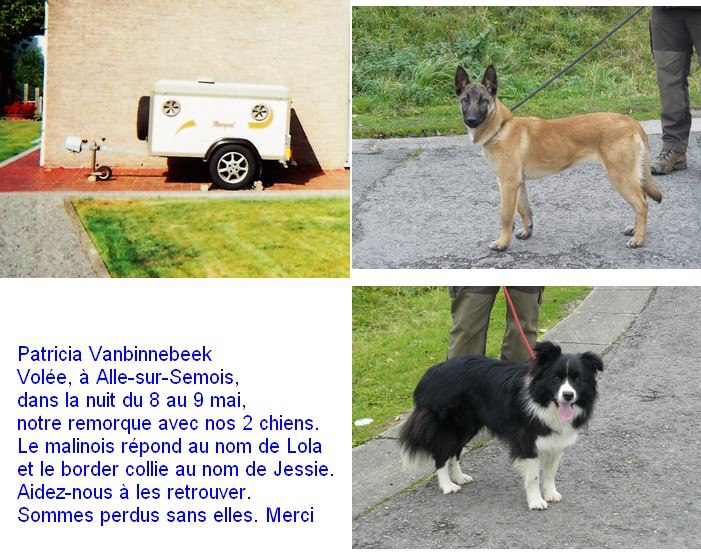 Retrouvés-Vol remorque + 2 chiens à Alle sur Semois (Belgique) Vol10