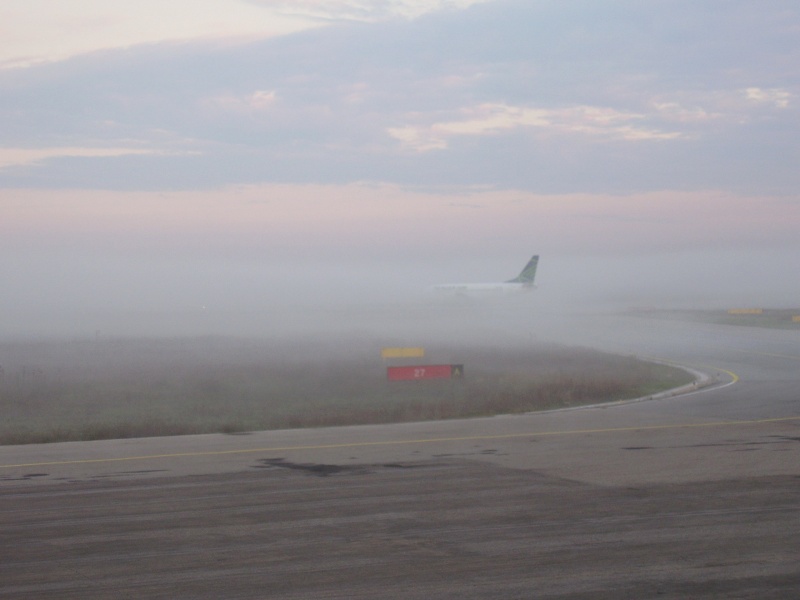 Aeroportul Arad - 2008 - Pagina 15 Pa090011