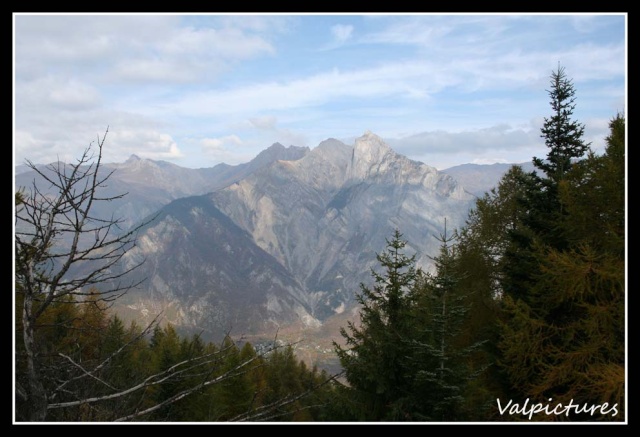 Les Alpes, la Savoie, chez nous... Photo du 20 mai 2010 - Page 3 St1110