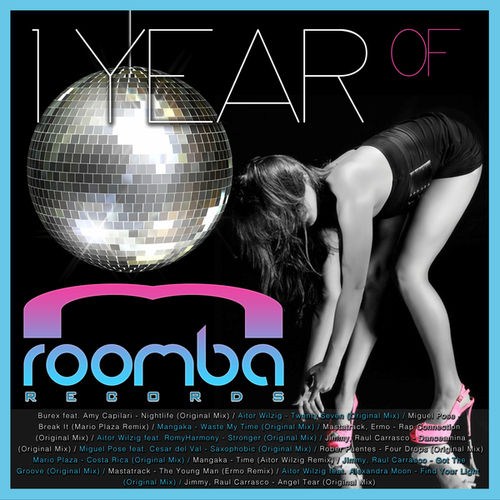 Year of Roomba Records 2013 4ab72010