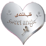 قلب المنتدى قلب المنتدى