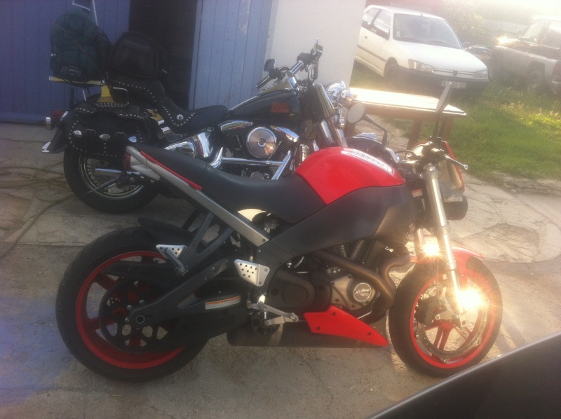 buell xb12ss "ma petite buell rouge" Img_2410
