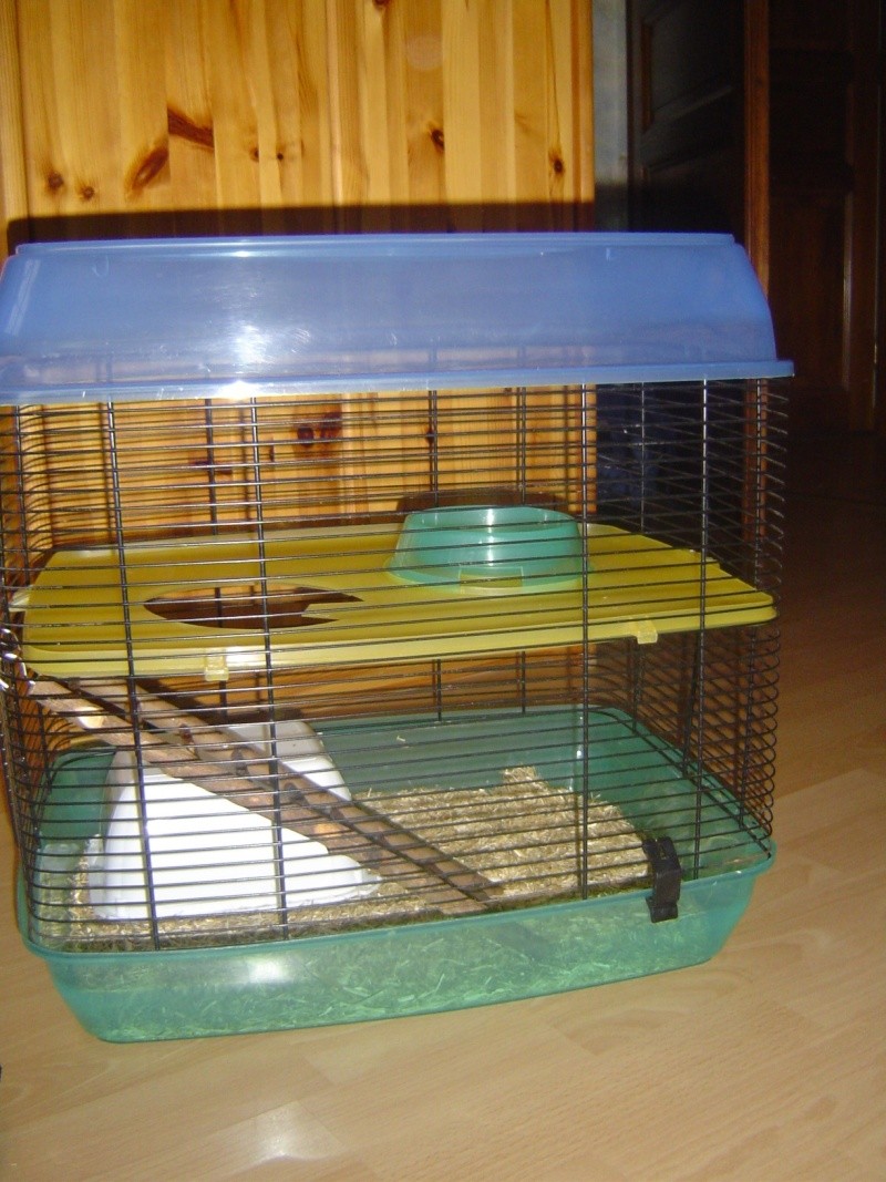 Avis dimensions cage Dsc00310