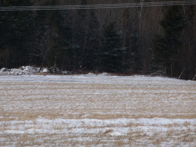 Mes sites de chasse à l'automne et en hiver Photo_36