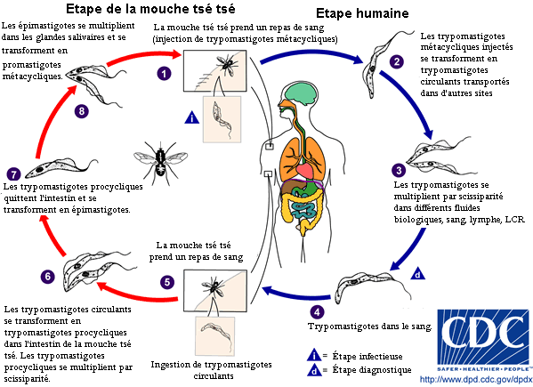 de quel échantillon s'agit-il ??? - Page 2 Afrtry10