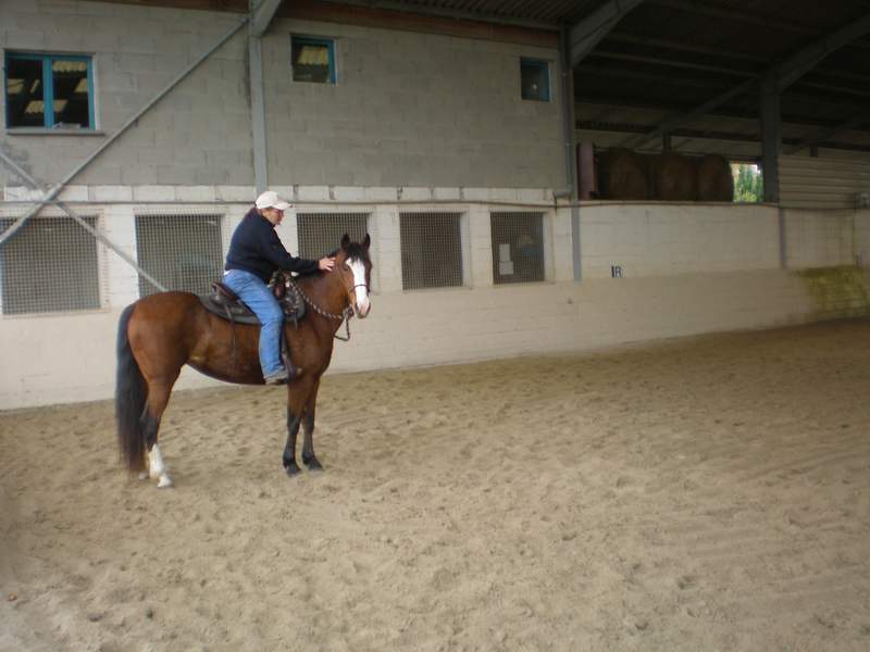 stage équitation western 19/10 au Haras des îles à Moirans - Page 8 52_80010