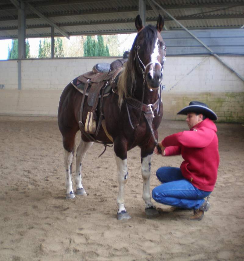 Prochaine session Western Dimanche 16 novembre au Haras des îles à Moirans - Page 9 Hunter14