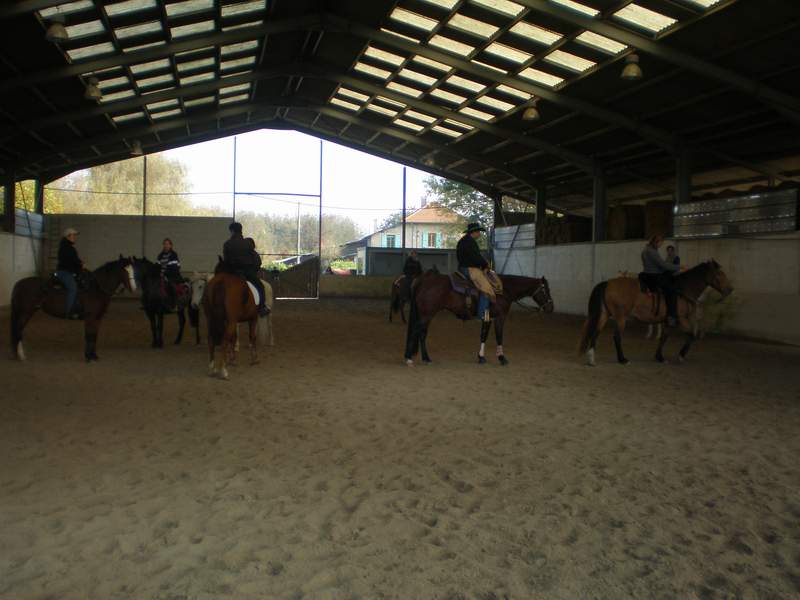 stage équitation western 19/10 au Haras des îles à Moirans - Page 8 Pa190020