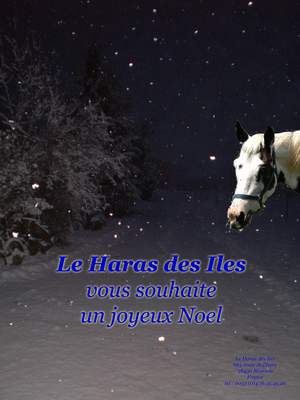 Joyeux noel - Page 2 Pc170010