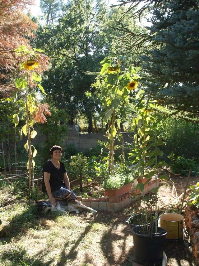 Le jardin de mes Chouchous Photo158