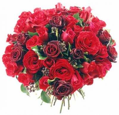 Joyeux Anniversaire Elise Joyeux Anniversaire Elise