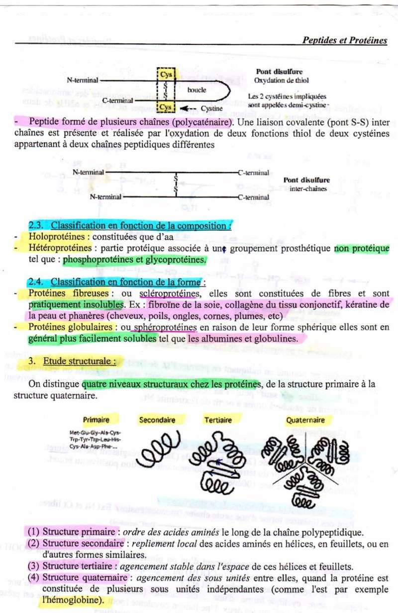 BIOCHIMIE ca se passe comment???? - Page 4 210