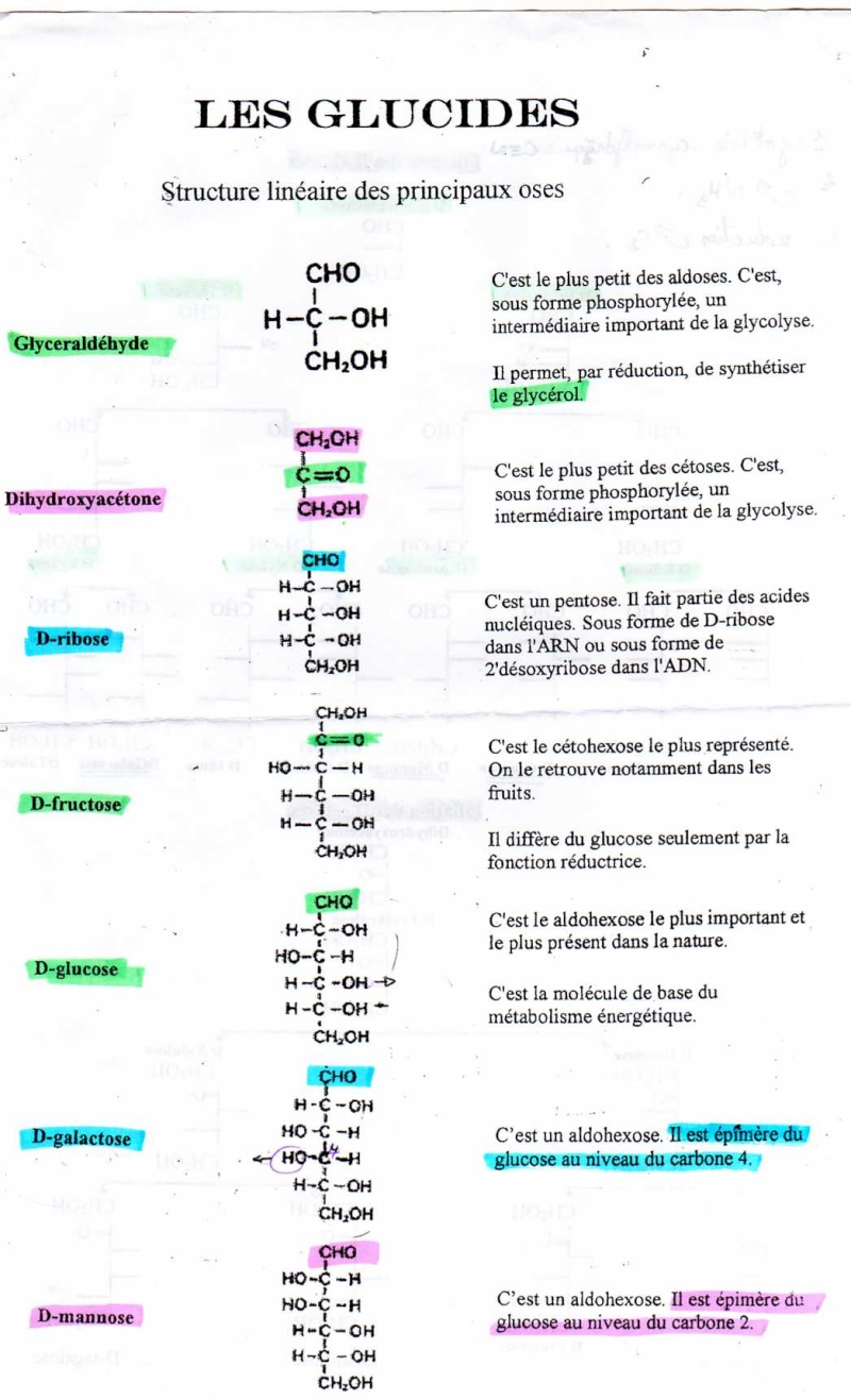 BIOCHIMIE ca se passe comment???? - Page 3 Img00111