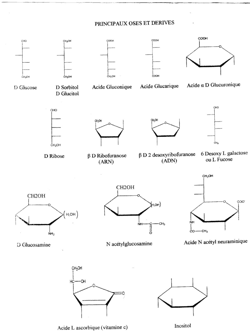 BIOCHIMIE ca se passe comment???? - Page 3 Img00511