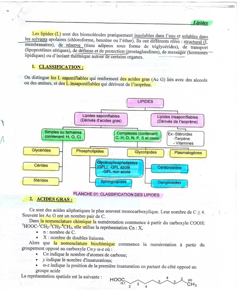 BIOCHIMIE ca se passe comment???? - Page 3 Img00810