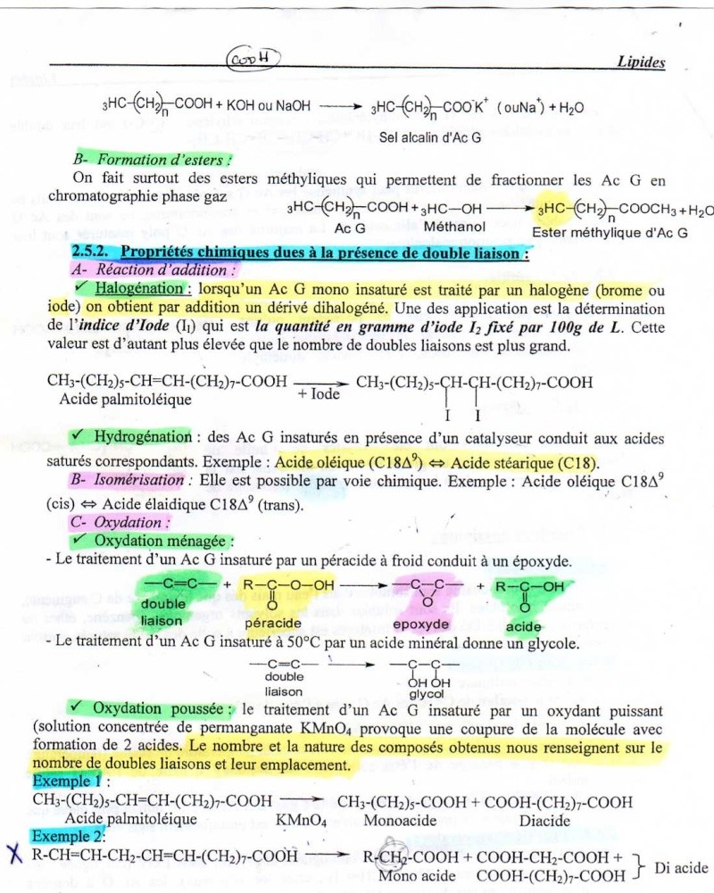 BIOCHIMIE ca se passe comment???? - Page 3 Img01110