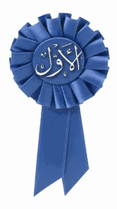 قوانين قسم المواقع و الدعايات الاعلانيه 1910