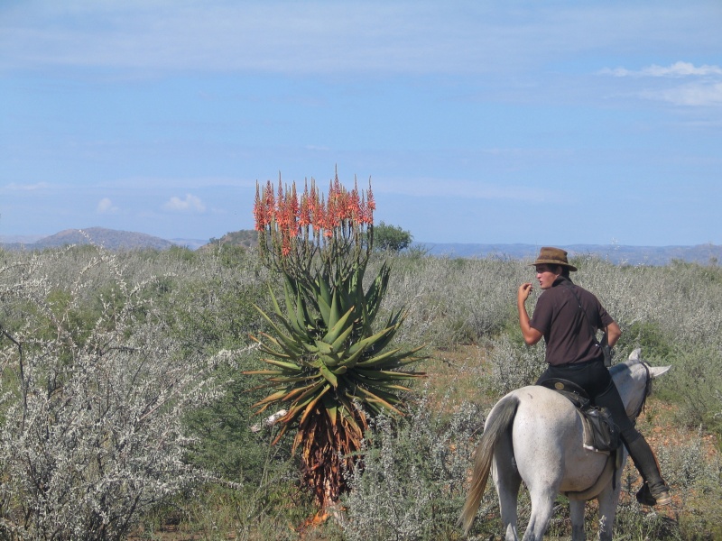 safari-Namibie. Img_2010