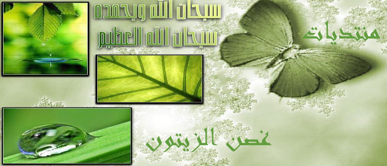 غصن الزيتون