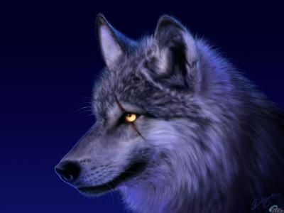 NEO_LOUP