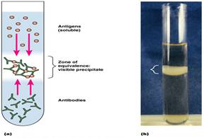 PRECIPITATION REACTION Clip_i10