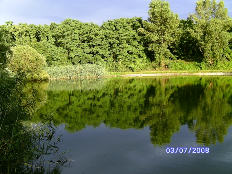 l'étang de ma petite amicale Bild0012