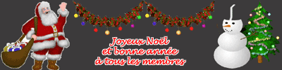 JOYEUSE FETES - Page 2 Noel11