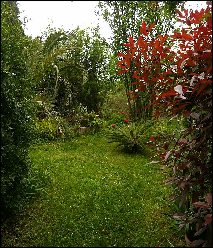 Le printemps arrive enfin... Avril_19