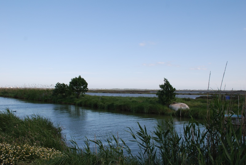 Maudit ou chanceux ? Dsc_4016