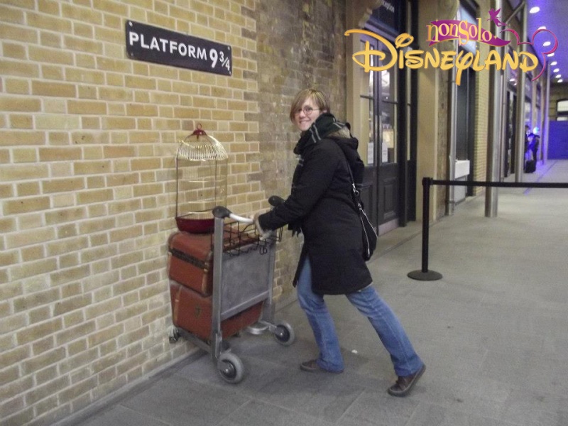 Harry Potter Warner Bros Studios - Londra - Pagina 2 211