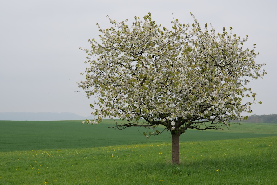 Paysages - premier test du Nikon D800 _dsc0010