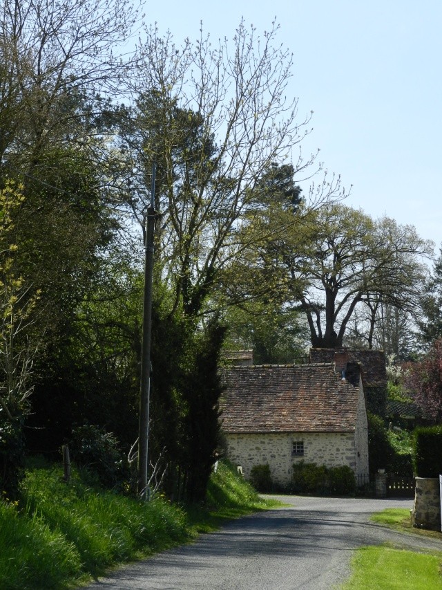 Balade autour de Saint-Pierre sur Erve (printemps 2013) Vauvar36