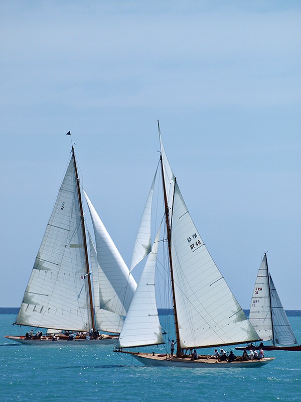 Voiles d'Antibes  P6016710