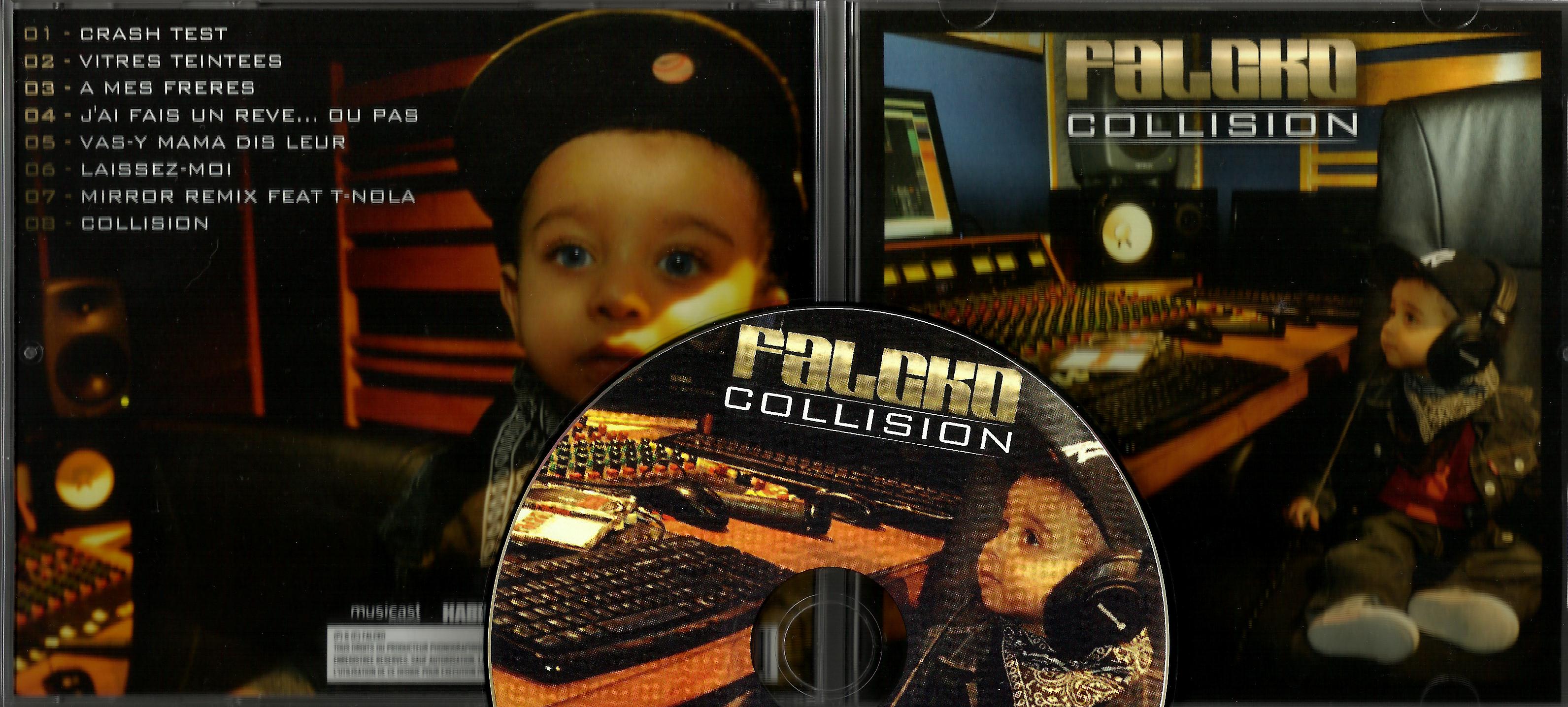 Falcko-Collision-FR-2012-H5N1 00-fal16