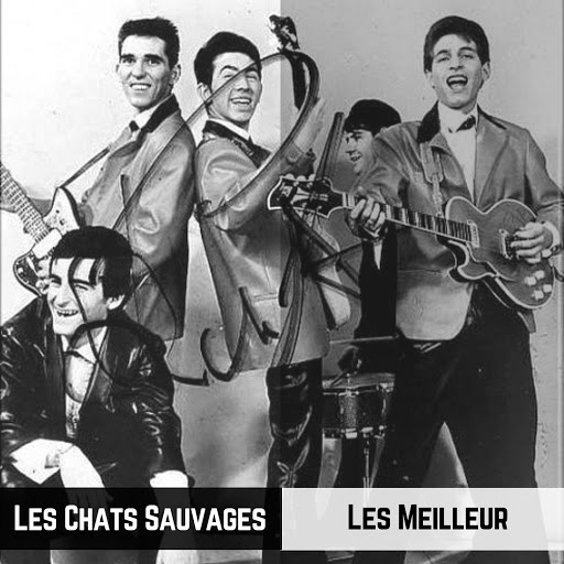 Les_Chats_Sauvages-Les_Meilleur-WEB-FR-2019-OND 00-les28